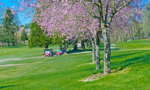 静岡県で春にお花見ができる桜のきれいなゴルフ場特集